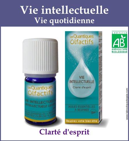 Vie intellectuelle