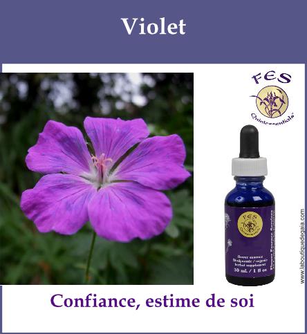 Violet