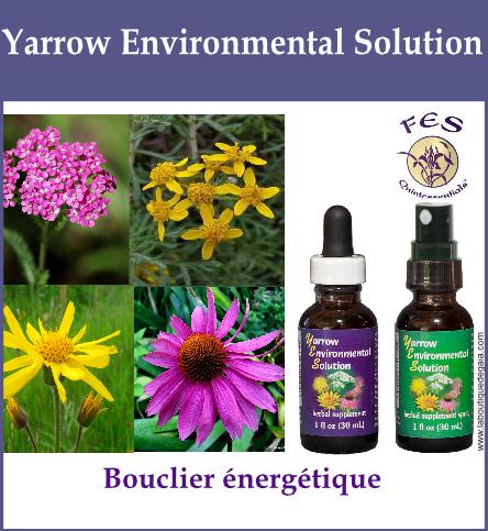 Yarrow environmental solution 19
