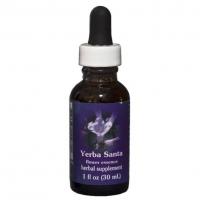 Yerba santa 2