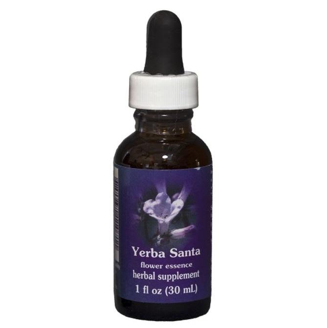 Yerba santa 2