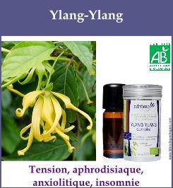 Ylang ylang 9