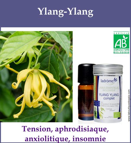Ylang ylang